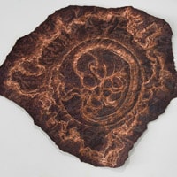 Placenta　about 1000×1130 mm　2012